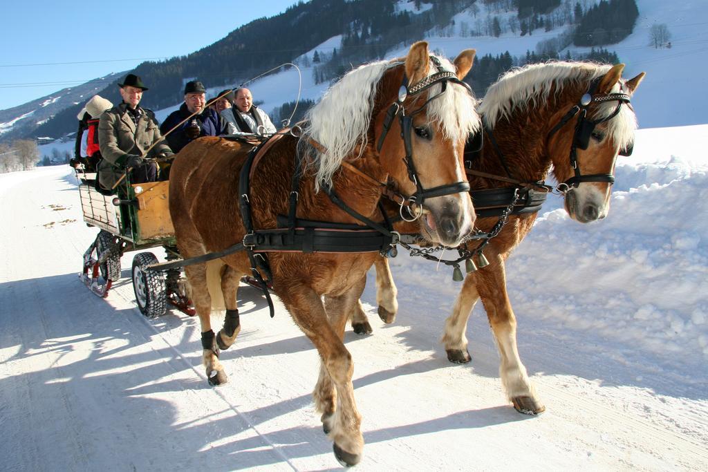 "Schoen-Urlauben" Grobming Ngoại thất bức ảnh